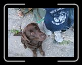 PICT4649 * 1600 x 1200 * (720KB)