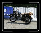 PICT4764 * 1600 x 1200 * (697KB)