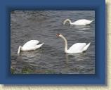 140 * 1600 x 1200 * (865KB)